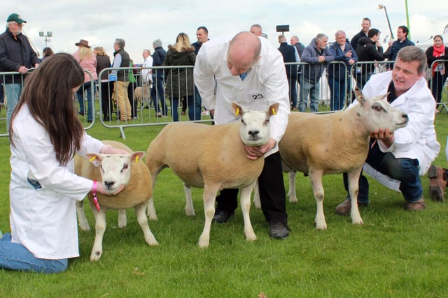 The Brownville Flock from Bessbrook were the group of three winners