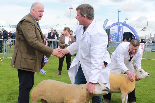 Mark Latimer, Brownville Flock, is congratulated by judge, Kevin Buckle after his shearling ram, Brownville Gladiator, was awarded the reserve champion title