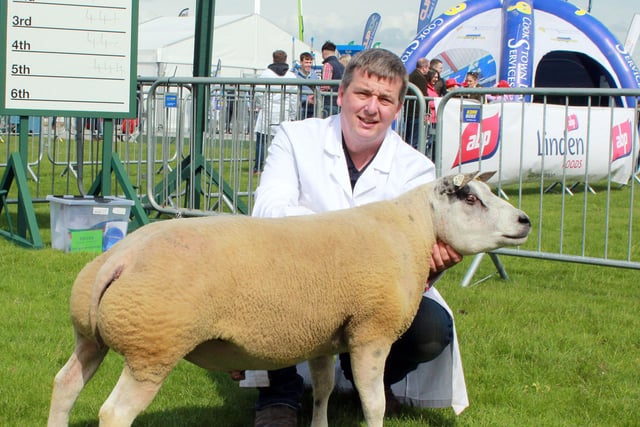 Mark Latimer, Brownville Flock, Bessbrook, with the reserve champion, Brownville Gladiator, a shearling ram