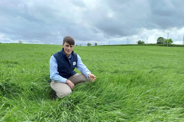 Christian Melly, Fane Valley Agronomist ‘North West’ inspecting a 2021 reseed prior to mowing for silage.