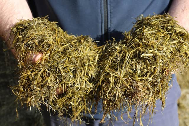 Taking an extra grass silage cut may cost more with higher diesel prices, but it’s important to weigh this against the potential benefits of harvesting higher quality grass, given strong milk prices, says Ecosyl silage expert, Peter Smith