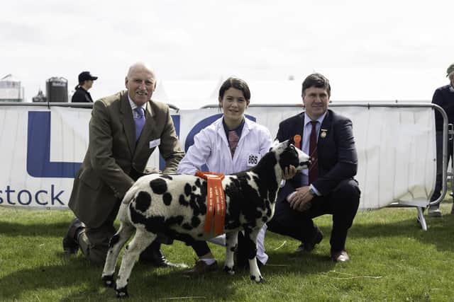 LMC board member Joe Stewart pictured with Shannon Smyth sheep young handler champion in the 8-11 age group. Also pictured is judge, Michael Graham