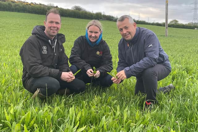 Host farmers Roger and Hilary Bell with ARCZero chair Professor John Gilliland examining a field of Multi-Species Swards that was established last year
