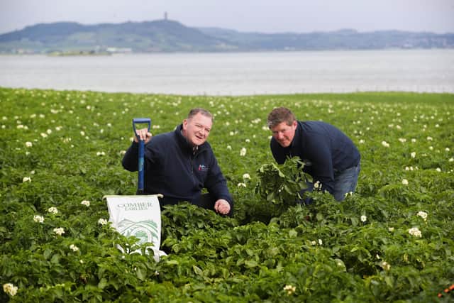 Noel McGregor, Fresh Foods Trading Manager at Henderson Wholesale, with Richard Orr of William Orr & Son’s, digging the first of the Comber Earlies – the unique PGI-status potatoes that are available on shelves across SPAR, EUROSPAR and ViVO stores this week.