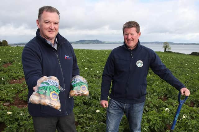Noel McGregor, Fresh Foods Trading Manager at Henderson Wholesale with Richard Orr of William Orr & Son’s, digging the first of the Comber Earlies – the unique PGI-status potatoes that are available on shelves across SPAR, EUROSPAR and ViVO stores this week.