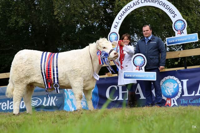 Supreme Champion at NI Charolais National Show 2019 pictured with the sponsor, Bank of Ireland.