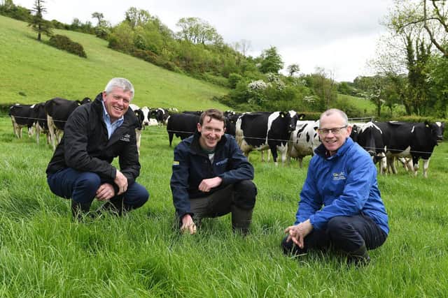 Philip Kyle and the local CAFRE Advisers, Alan Hopps and Gavin Duffy, assessing clover swards, which will be featured during the event on the family’s farm in Aughnacloy.