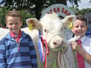 Brothers Harry and Sam Ritchie from Richhill with their reserve Charolais champion at a previous Lurgan Show. Picture: Julie Hazelton