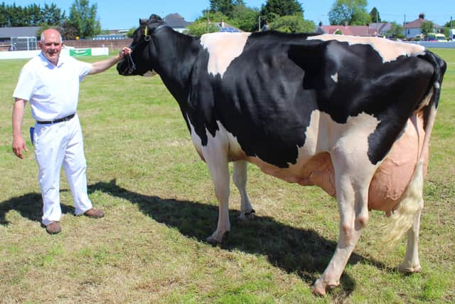 Iain McLean, from Bushmills, with the Champion of Champions at this year's Ballymoney Show - the 6th calving Holstein cow - Priestland 5446 Shot J Rose