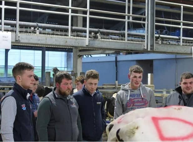 Members taking part in one of the stock judging events, held at Ballyportery Holsteins.