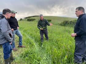 Dr Francis Lively (AFBI), Frank Turley (host farmer), Dr David Patterson (AFBI) and Paul Turley (host farmer) discussing the forthcoming EIP farm walk on the use of multi-species swards