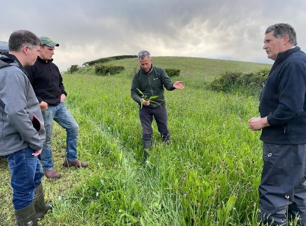 Dr Francis Lively (AFBI), Frank Turley (host farmer), Dr David Patterson (AFBI) and Paul Turley (host farmer) discussing the forthcoming EIP farm walk on the use of multi-species swards