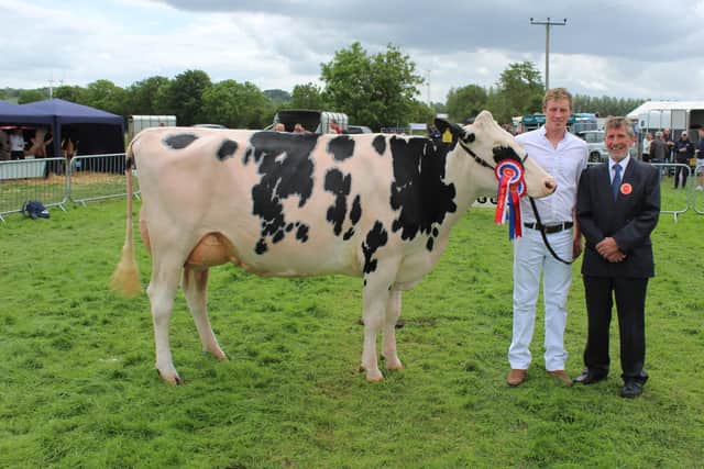 The Champion of Ballymena Show 2022 - Damm Fitz Beth with breeders David Simpson and judge Brian Weatherup, from Fife in Scotland