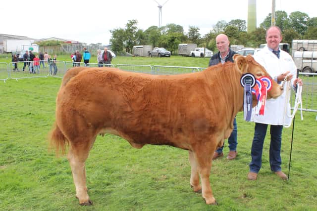 Deerpark Saffron - the Beef Interbreed champion at Ballymena Show
2022 with breeder Connor Mulholland and judge Pat McClean