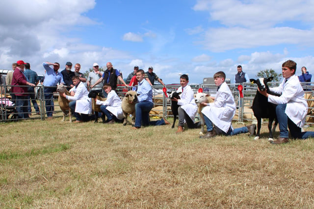 The final line-up in the Sheep Young Handlers age 12-16 class.