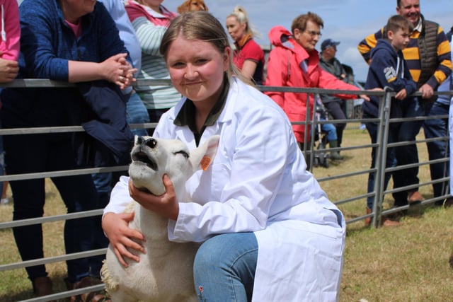 Taking part in Saintfield Show's Sheep Young Handlers competition.