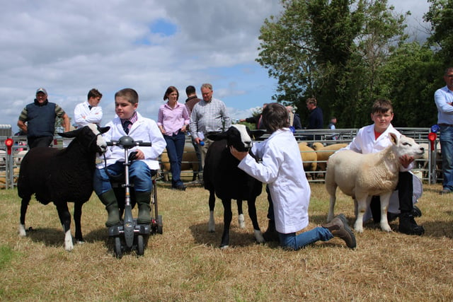 Young Handlers competitors at Saintfield Show.