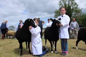 These competitors put their Zwartbles through their paces at Saintfield Show on Saturday during the Young Handlers competition.