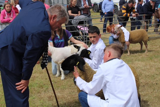 This Young Handler discusses his Suffolk with judge, Rex Vincent, from Devon in England.