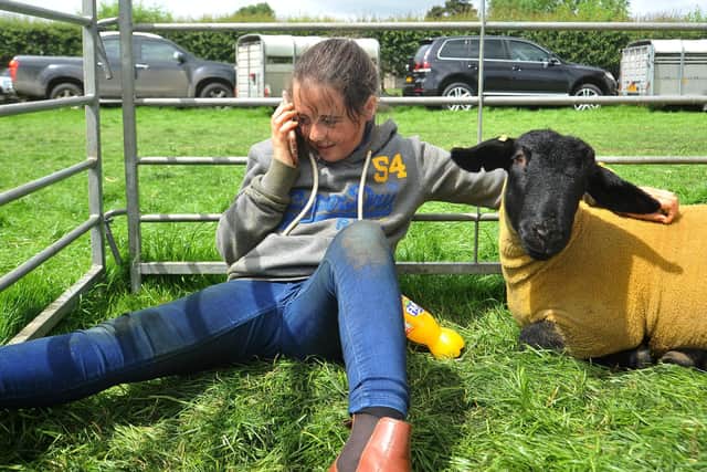 Lara Taylor chilling out with her Suffolk.