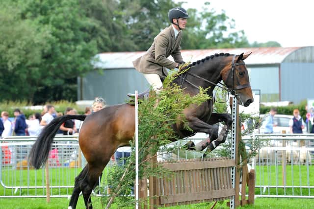 Working Hunter horses in action at Ballymena Show.