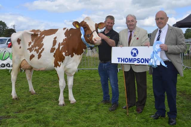 Alan Paul with his Holstein cow that was Res Champion and Reserve Dairy Inter Breed Champion is seen with sponsors.