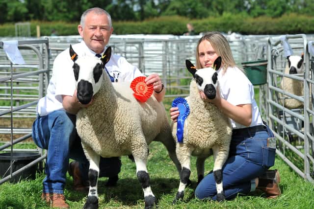 Dale Wylie and his daughter Amy of Tannybrake farm with their award winning Kerryhill sheep.