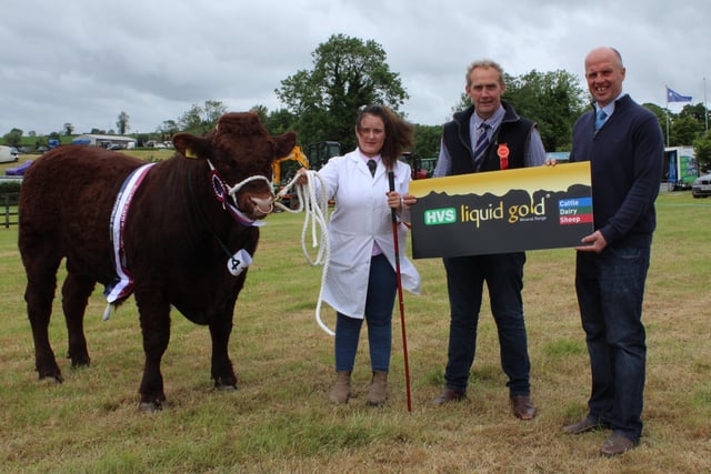 Hannah Burns, Downpatrick, with the Salers Champion Lisnamaul Rocky. Included is judge James Martin and Paul Elwood from sponsor HVS.