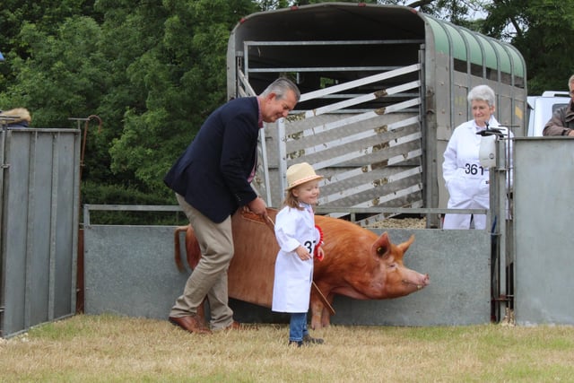 Perrie Tracey gives the Agriculture Minister, Edwin Poots, some pig showing tips at Saintfield.