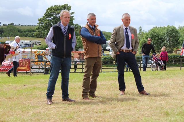 Cattle section judges James Martin, Donald Smyth and Lawrence Moore.