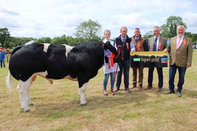 Interbreed Reserve Champion Grace Elwood with her British Blue, Bethel Pablo, is congratulated by the judges. The championship was sponsored by HVS.