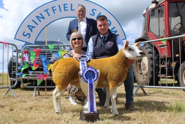 M. McConville taking the Interbreed Reserve Champion with his Texel ewe lamb.