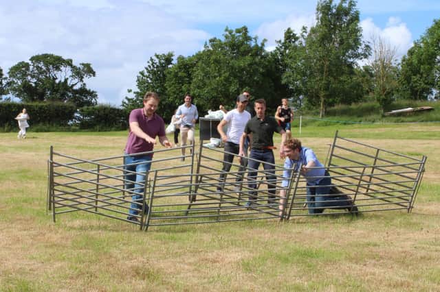 Taking a tumble over the hurdles during the farmer race at Saintfield Show.