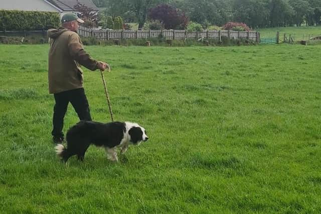Peter Morgan current Irish champion gets ready for his run at the Glenravel & District Sheepdog Trials