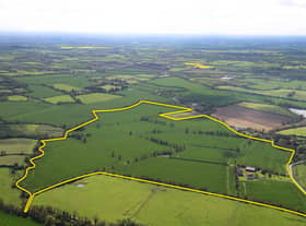 Primrose Park Farm in County Meath sold for €4.1 million at public auction.