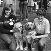 Pictured at the Ballymena Show in June 1982 is Stephanie Bell from Broughshane, she won third prize with her dog Kelly, while her friend Jennifer Harcourt from Ballymena won a first and third prize with her dog Amber. Picture: Farming Life/News Letter archives
