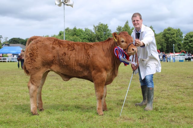 The Reserve Beef Interbreed Champion from Crawford Brothers.