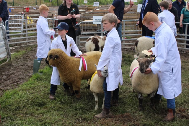 Sheep Young Handler competitors at Omagh Show.
