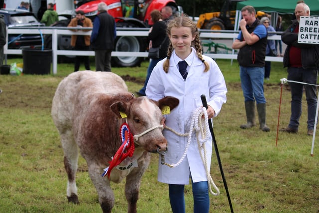 Taking part in the Young Handler competition at Omagh Show.
