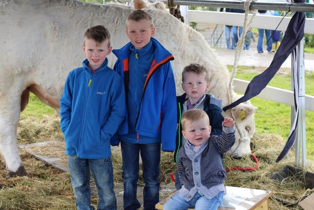 Danny, Finn, Torin and Caiden Devine pictured at Omagh Show. Their Brownhill Charolais picked up breed champion on the day.