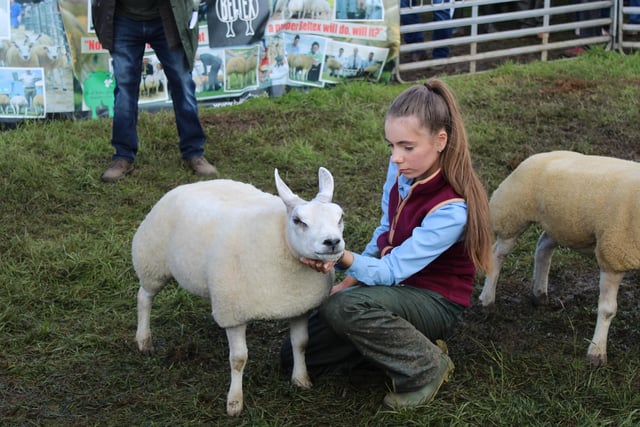 Taking part in the Sheep Young Handler class at Omagh.