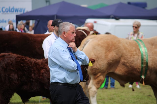 Decision Time: Casting an eye over the Beef Interbreed Championship contenders was judge Neil Barclay from Aberdeen in Scotland.