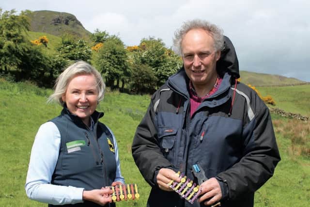 Campbell Tweed OBE, one of Northern Ireland’s premier sheep farmers, chats with Countryside Services Customer Service Manager Ruth Potter about the multiple benefits he receives from using their robust and reliable EID Loop Sheep Tags on his County Antrim farm.