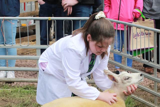 Leah Preston, Omagh, runner-up in the Primary School class of the Young Handlers competition.