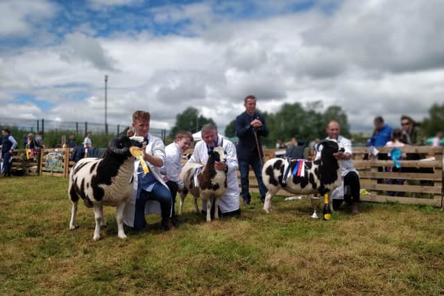 Northern Ireland Jacob members travelled from far and wide to attend their national show in Omagh at the weekend. With over 100 Jacob sheep on display it was the largest turnout there has ever been at any show in Ireland of Jacob sheep