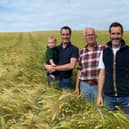 David and Henry, Raymond and William Wilson in their winning field of winter barley.
