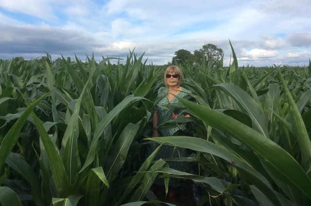 Janet Duncan inspects the forage maize on her Largyvale farm