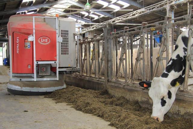 The Lely Vector is self-contained and battery operated. It measures, mixes and distributes fresh feed at regular intervals throughout the day. Frequent feeding is having a positive effect on the health and performance of the Hollybank Holstein Herd. Picture: Julie Hazelton