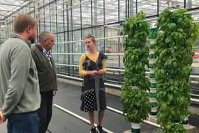 CAFRE Horticulture Technologists, James Crawford and Lucille Gilpin, showing LEAF assessor Vince Dempsey an innovative and environmentally sustainable production method for leafy
