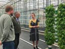 CAFRE Horticulture Technologists, James Crawford and Lucille Gilpin, showing LEAF assessor Vince Dempsey an innovative and environmentally sustainable production method for leafy
